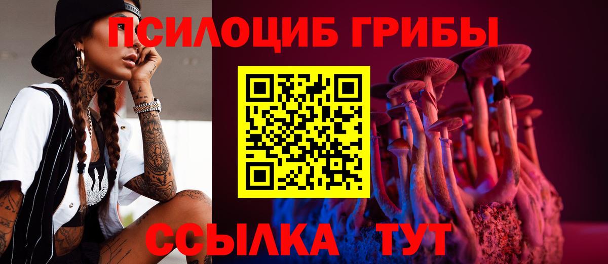 Галлюциногенные грибы прущие грибы Благодарный