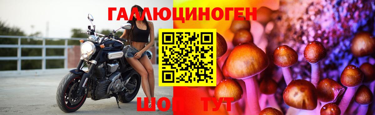 Галлюциногенные грибы Psilocybine cubensis  Благодарный  Псилоцибиновые грибы Psilocybine cubensis 