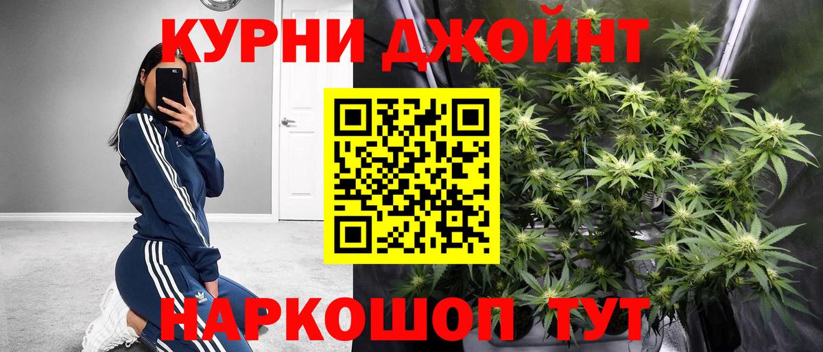 Канабис планчик Благодарный